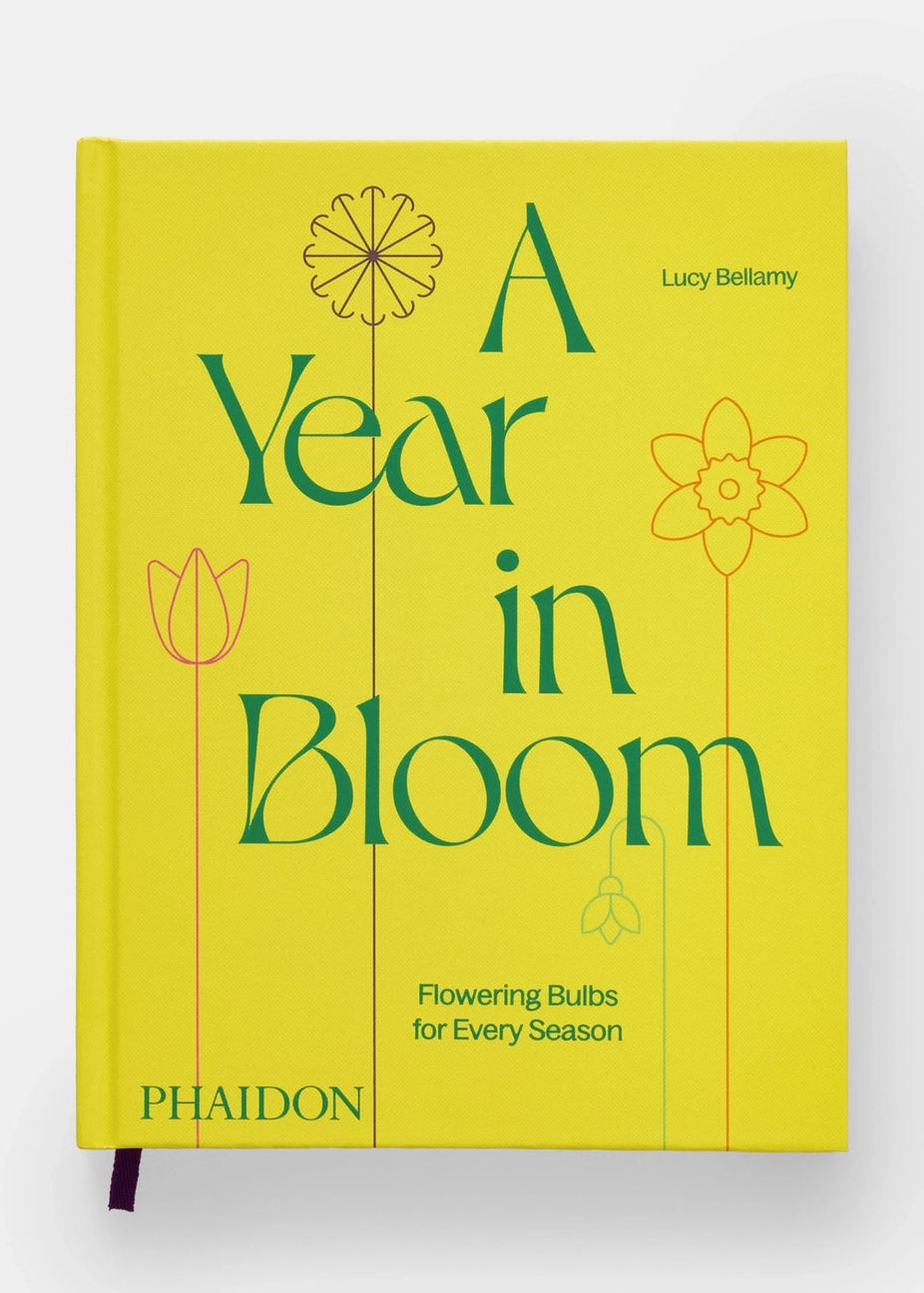 A Year in Bloom: Flowering Bulbs For Every Season