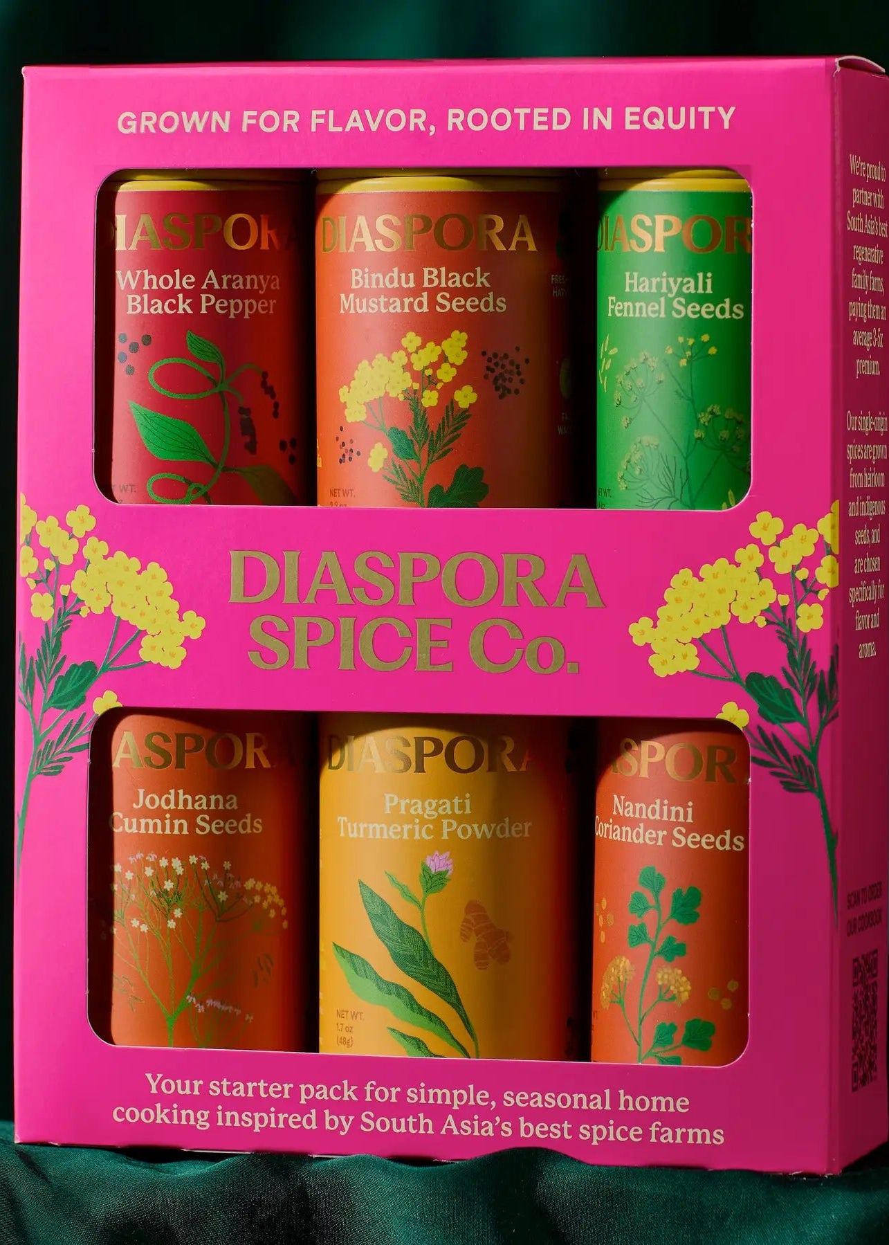 Diaspora Spice Co. spice set packaging with six cans inside on a dark green background