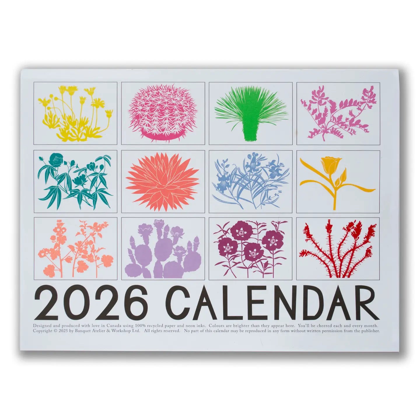 2026 High Dessert Plants // Day Glo