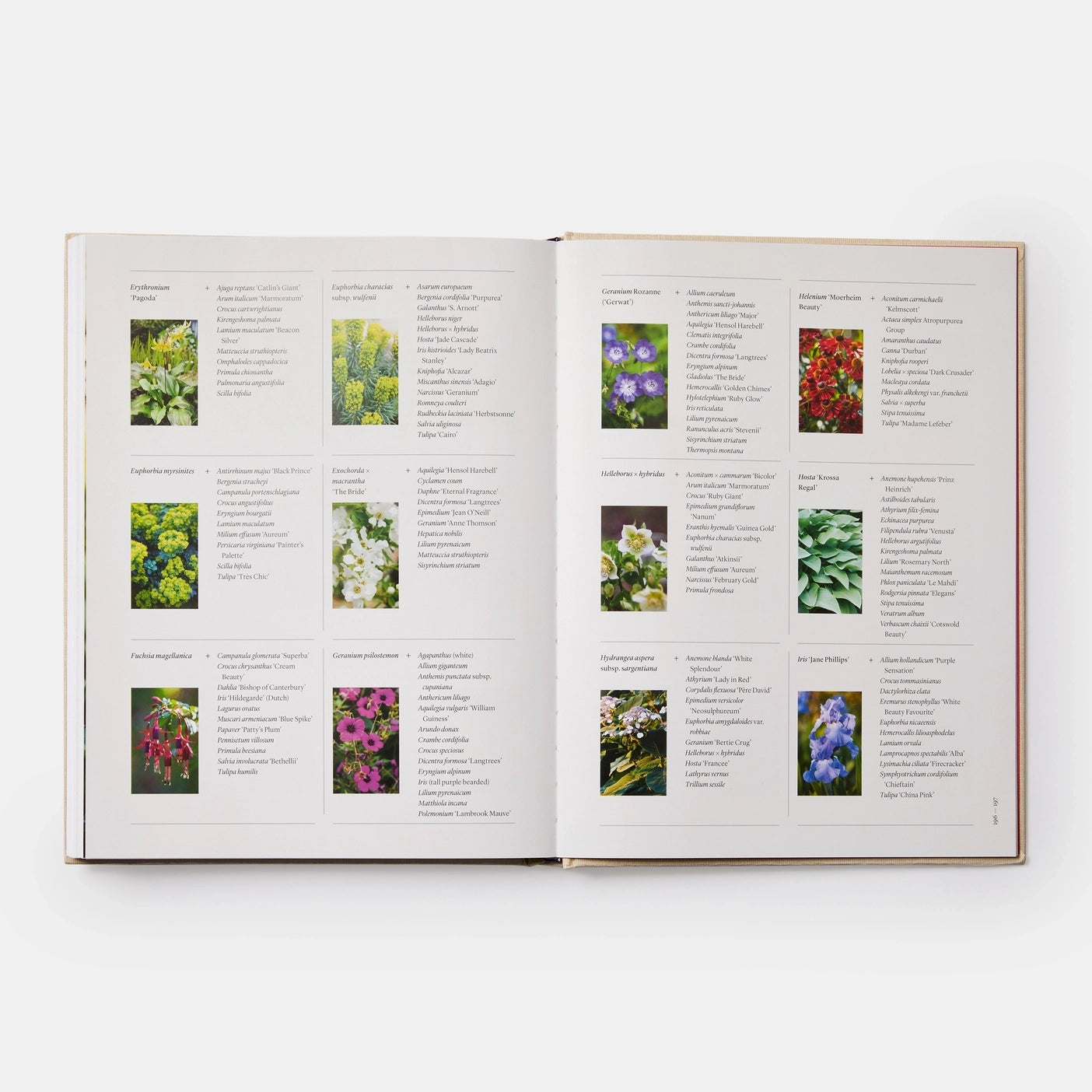 Seasonal Gardener- Creative Planting Combinations