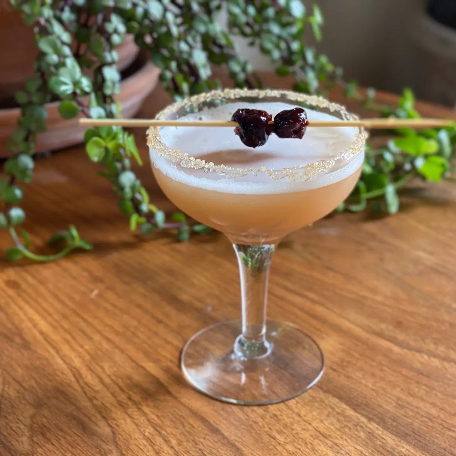 Artisanal Bourbon Cocktail Cherries // 9 oz