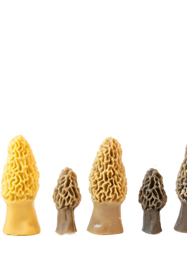 Morel Mushroom Beeswax Candle // *Not Available for In-Store Pick Up