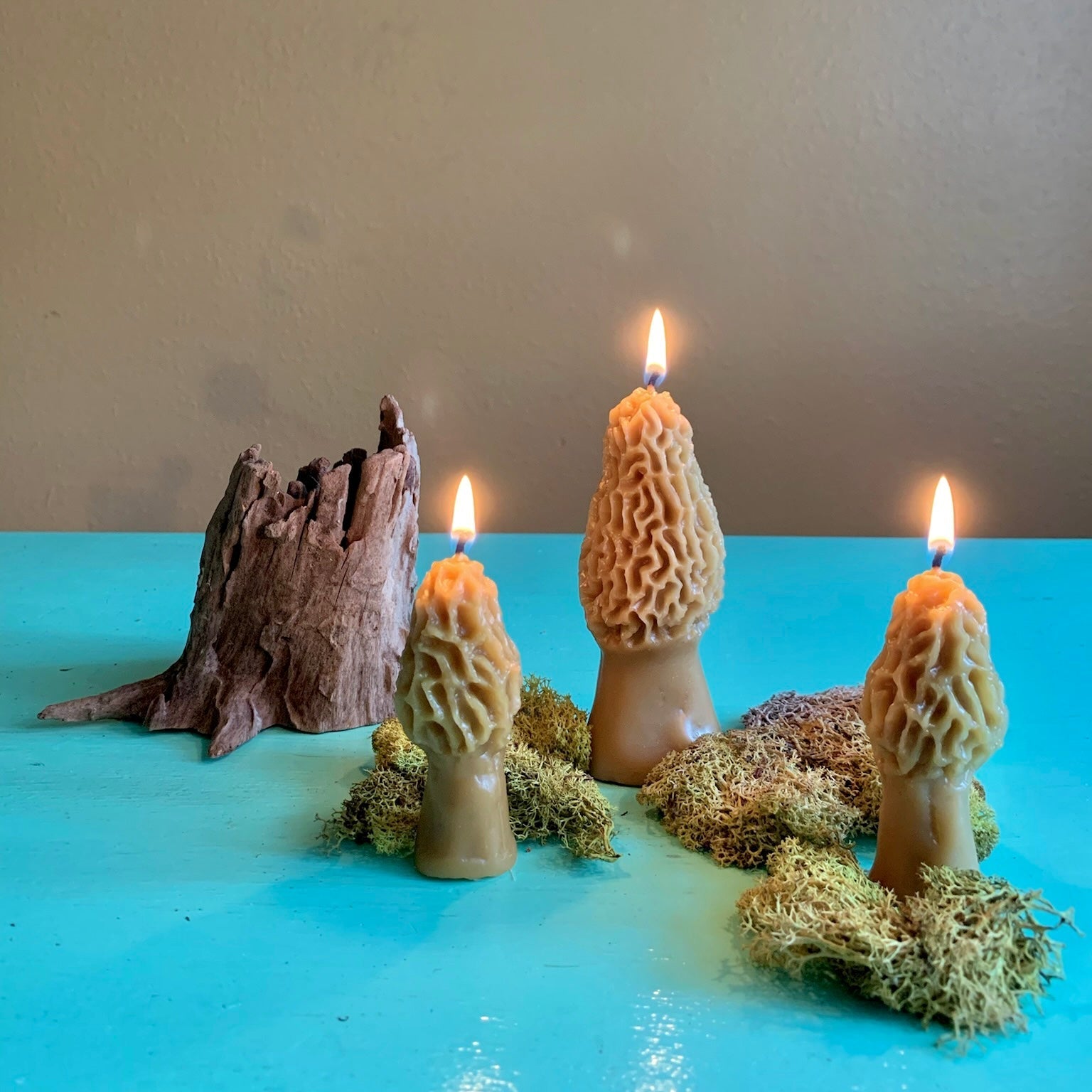 Morel Mushroom Beeswax Candle // *Not Available for In-Store Pick Up